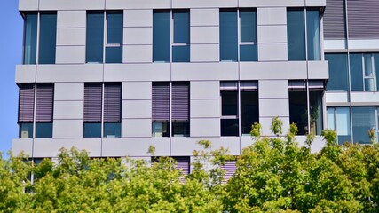 Reflection of modern commercial building on glass with sunlight. Eco architecture. Green tree and glass office building. The harmony of nature and modernity. 