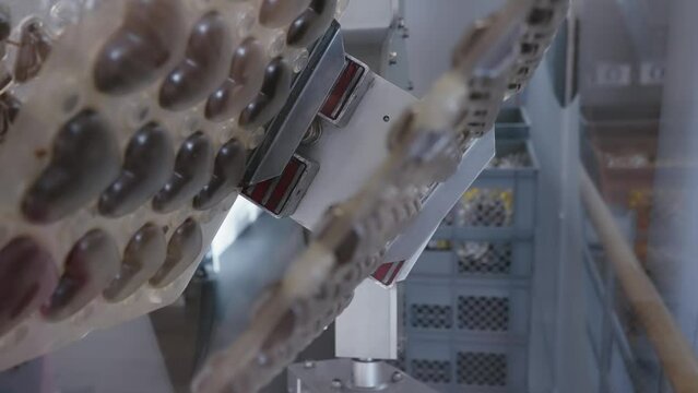 Production of delicious chocolate candies on factory automatic robotic line, slow motion