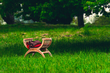 Old antique chair on a green meadow