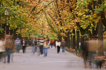 Fototapeta na wymiar Blurred image of people walking in an autumn park.