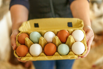 A female farmer shows an egg carton full with fresh eggs into the camera, henhouse background © Annabell Gsödl