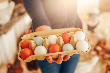 A female farmer shows an egg carton full with fresh eggs into the camera, henhouse background © Annabell Gsödl