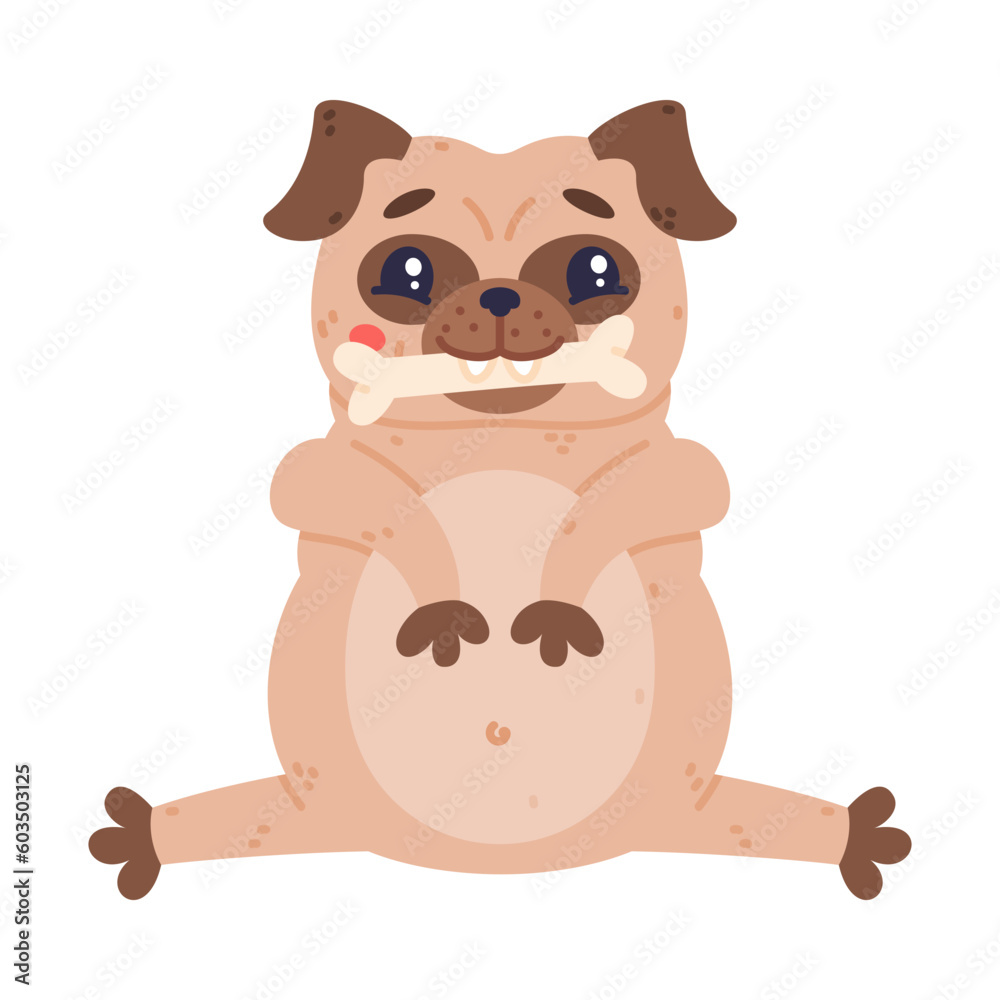 Sticker Funny Pug Dog Character with Wrinkly Face Sitting with Bone in Mouth Vector Illustration