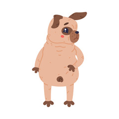 Funny Pug Dog Character with Wrinkly Grumpy Face Standing Vector Illustration