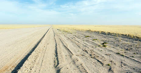 View of a desert landscape