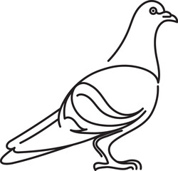 The pigeon hand drawn in line art. The very popular city bird standing, view from the one side. 