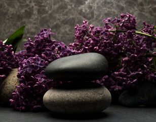 Fototapeta na wymiar gray and black zen stone and purple lilac branch with flowers for product stand background podium on gray background