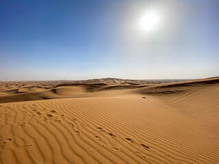 A sunlit desert landscape, its horizon stretching far over sand dunes and a clear sky. Wildlife flourishes in the dry ergs natural environment, bringing beauty to this tranquil travel destination.