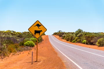 Muurstickers Beware of kangaroo road sign in Australian outback. Warning sign for kangaroos and cows crossing the road © Sappheiros