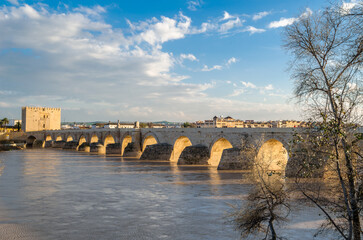 Fototapeta premium Detail of the ancient Roman bridge of Cordoba, Spain