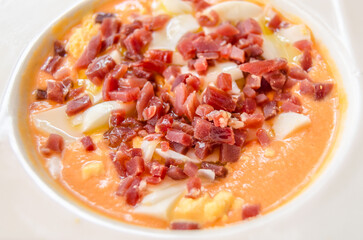 Salmorejo dish, typical of Cordoba, Andalucia, southern Spain