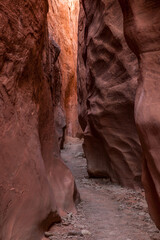 Peek-a-boo Slot Canyon
Grand Staircase-Escalante National Monument
Escalante, Utah