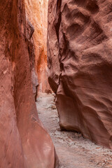 Peek-a-boo Slot Canyon
Grand Staircase-Escalante National Monument
Escalante, Utah