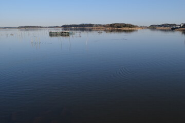 牛久沼（うしくぬま）／ 茨城県の牛久沼は小規模な漁業のほか、その水は主に農業用水として活用されています。また、週末などは多くの釣り人たちで賑わっています。沼に近い牛久市と同じ名前ですが、全域が龍ケ崎市の区域内です。