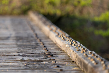 Old Disused Railroad Bridge