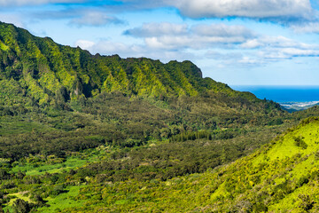 Hawaii, Oahu, nature