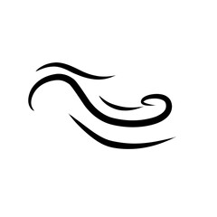 Obraz premium wind icon