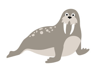 Cute vector walrus illustration isolated on white background. Cartoon seal. Funny animal
