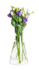 Glass vase with eustoma flowers on white background