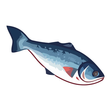 Underwater tuna design