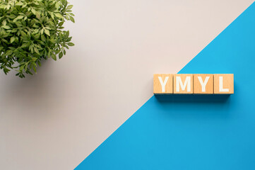 There is wood cube with the word YMYL. It is an abbreviation for Your Money or Your Life as...