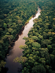Fototapeta na wymiar Aerial View of the Amazon bathed in beautiful light, surrounded by lush Amazon rainforest - generative ai