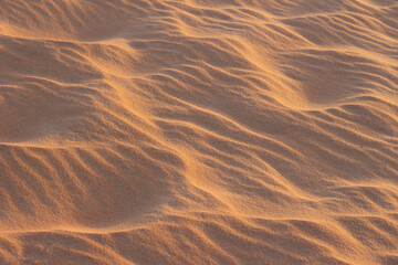 beautiful natural texture of salmon sandstone