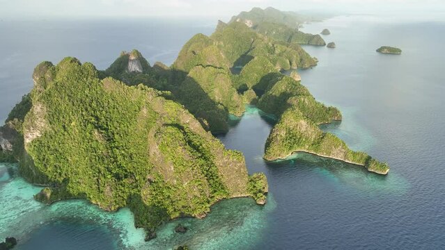 Early in the morning, calm seas surround the limestone islands that emerge from Raja Ampat's dramatic seascape. This remote part of Indonesia is known for its incredibly high marine biodiversity.