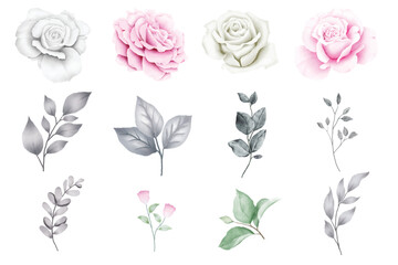 Set Of Floral Watercolor Element