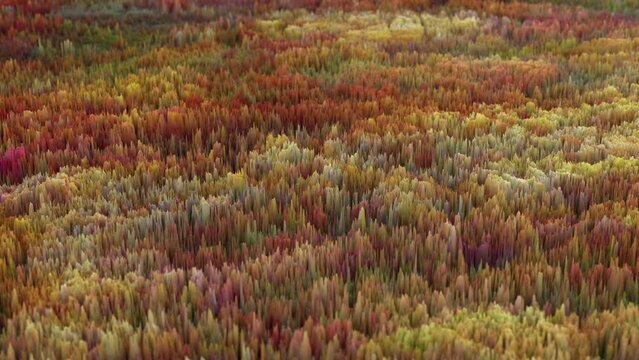 Generative Art 1031: Abstract 3D animation (Loop).