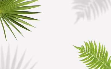 Tropical leaves and their shadows on white background, space for text