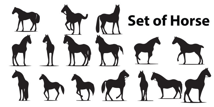 A set of silhouettes of horses and a black-and-white background.