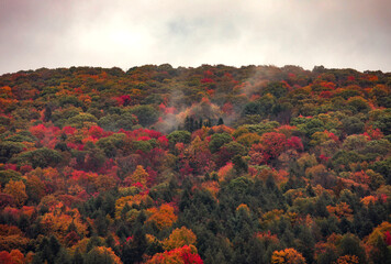 Patch of fog in the mountains, colorful autumn forest