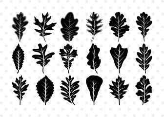 Oak Leaves SVG Cut Files | Oak Leaves Silhouette | Leaf Svg | Foliage Svg | Autumn Svg | Fall Leaves Svg | Oak Leaves Bundle