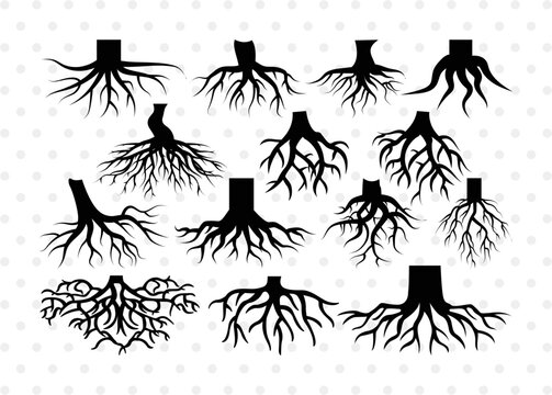 Roots SVG Cut Files | Roots Silhouette | Tree Roots Svg | Family Tree Svg | Plant Roots Svg | Forest Svg | Roots Bundle