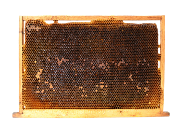 Honey isolated