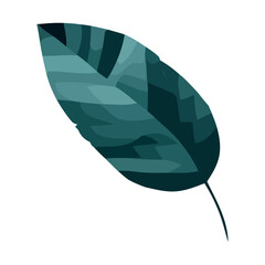 Nature beauty in leaf vector illustration