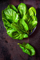 Washed fresh spinach on a black background