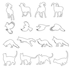 set of animals with one line 