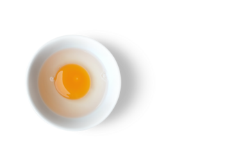 Raw Egg Yolk On A White Bowl - Flat Lay View - Top View