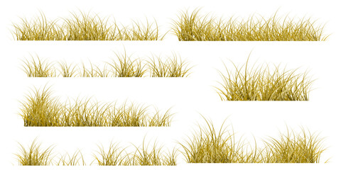 brown grass set. autumn grass. dry grass
