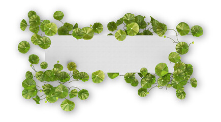 Flower on paper with transparent background