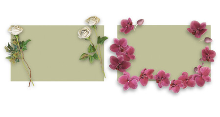 Flower on paper with transparent background