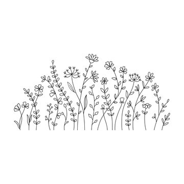 Vector wild herbs and flowers doodle illustration. Field with grass and wildflowers isolated on white background