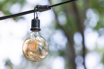 Garland light bulbs hanging from the trees on the promenade. incandescent light bulb, close-up
