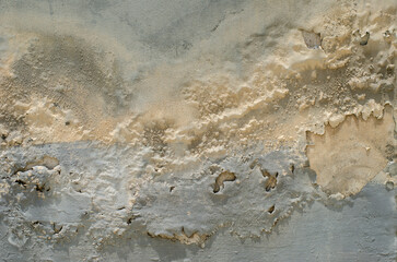 paint on the wall is peeling and mold. Caused by water and damp.