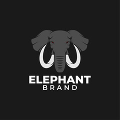 Elephant vector logo template