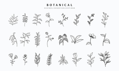 Botanical arts. Hand drawn continuous line drawing of abstract flower, floral, rose, tropical leaves, spring and autumn leaf, bouquet of olives. Vector illustration.