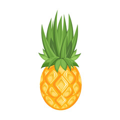Pineapple with green leaves. Bright tropical fruit icon isolated on white background. Vector. Exotic, summer, vacation, sea, vitamins, health. Flat decor element.