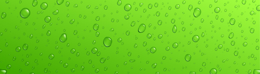 Green background fresh rain water drop vector texture. Cold droplet on summer fruit juice or soda for refreshing. Mojito cocktail abstract surface condensation pattern. Shower macro illustration